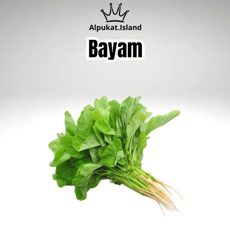 

sayuran termurah cimahi bandung| buncis | daun seledri| bayam| daun jeruk | daun bawang | sereh |kol