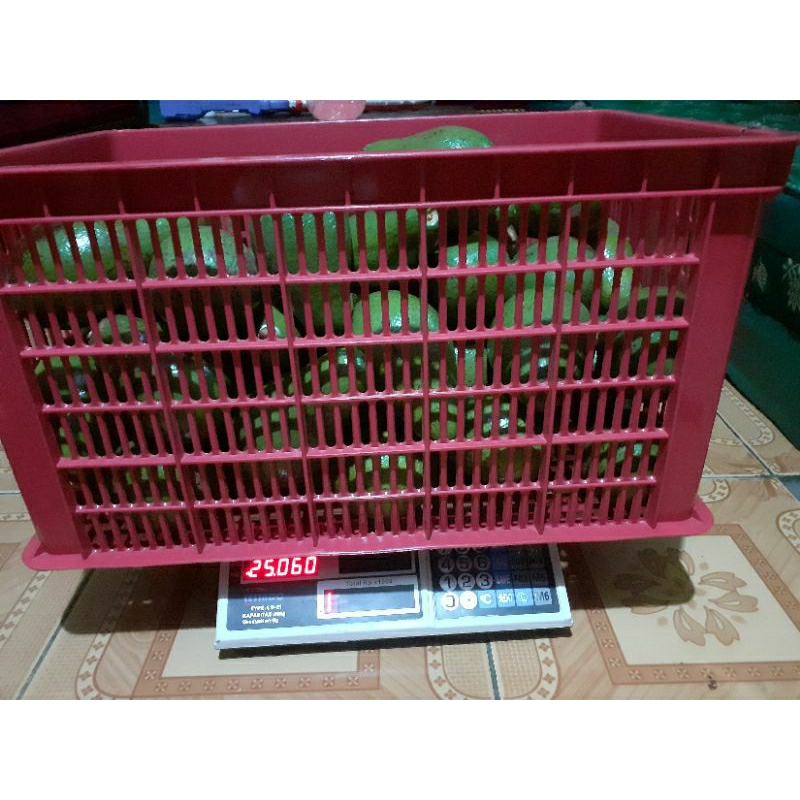 

Alpukat Premium Pluwang Paket 25KG