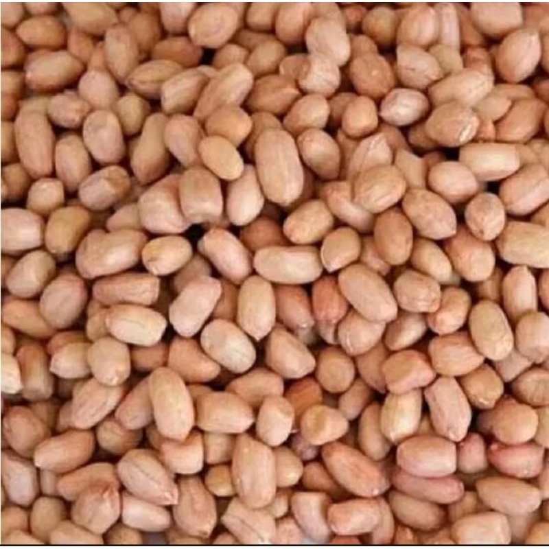 

kacang Bali 1kg