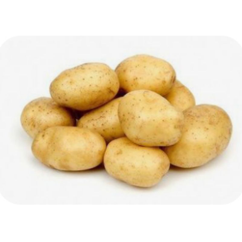 

Kentang Bromo size Kecil - 500gram