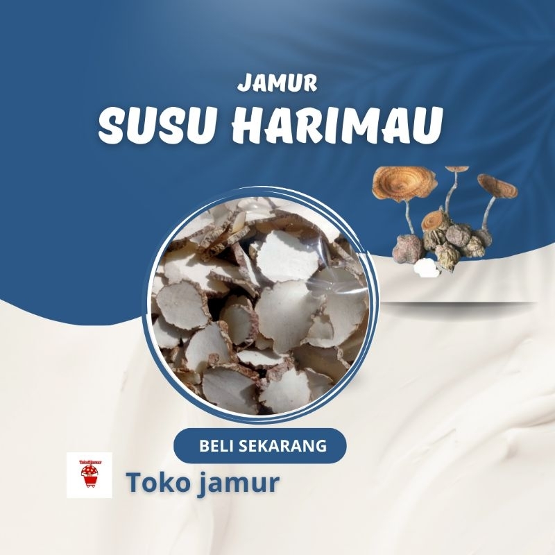

100 gram Irisan Jamur Susu Harimau
