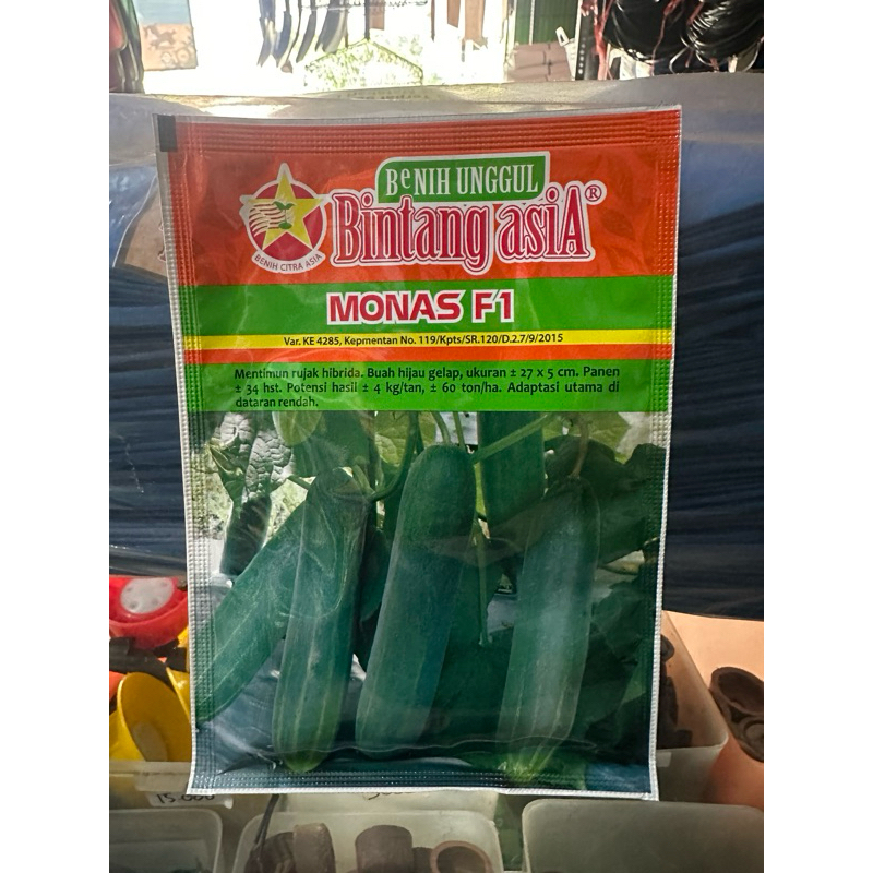 Benih Mentimun Monas F1