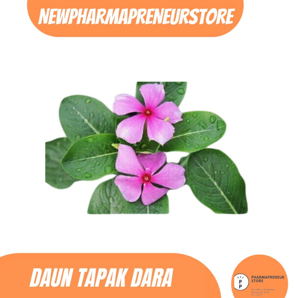 

DRIED SERBUK DAUN TAPAK DARA BEST QUALITY