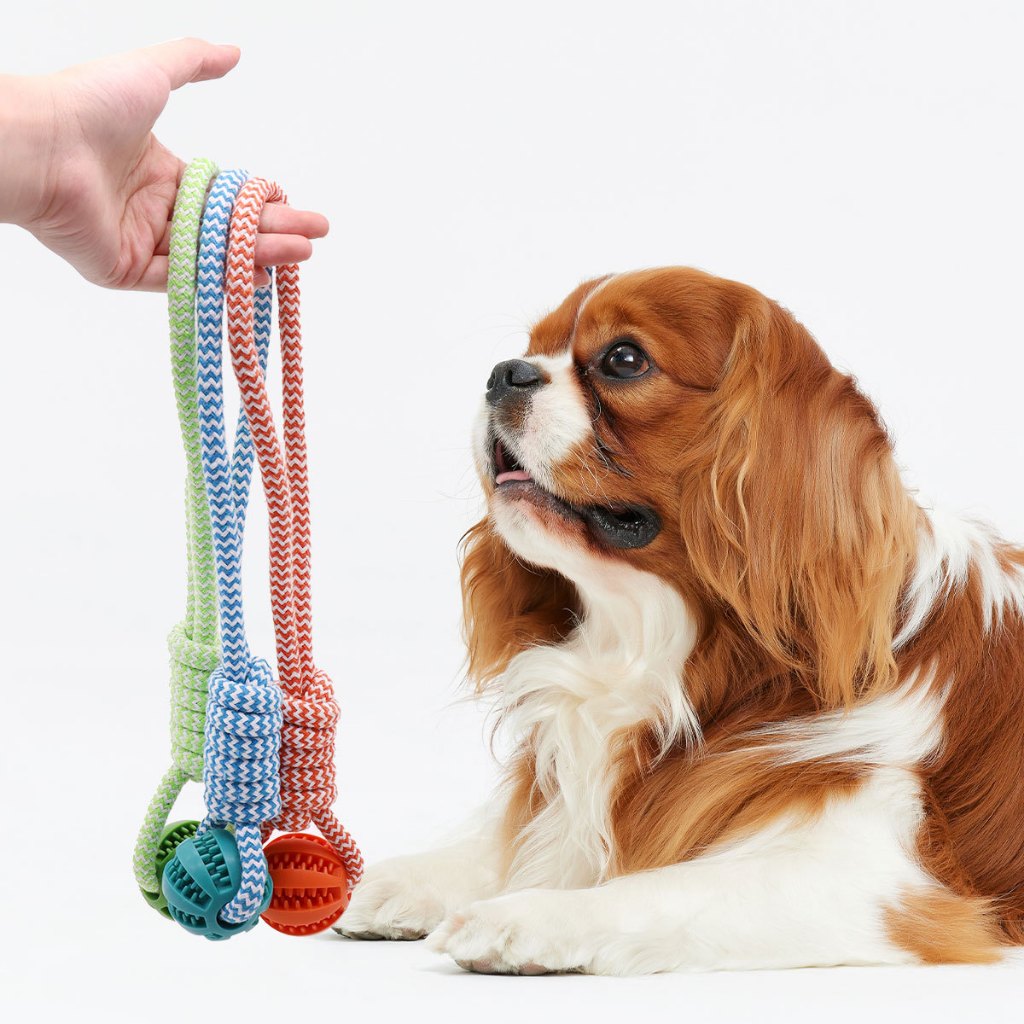 KKH-0022 Mainan Bola Karet Tahan Lama Tali Mainan Kunyah Anjing Mainan Anak Anjing Kucing Interaktif