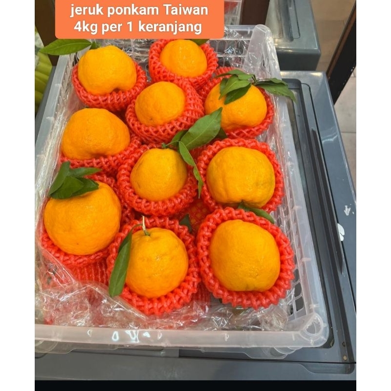 

Jeruk sumo ponkam Taiwan 4kg per 1 keranjang buah