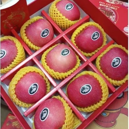 

GIFT APEL ISI 9 KEMASAN MEWAH DI JAMIN BAGUS DAN FRESH