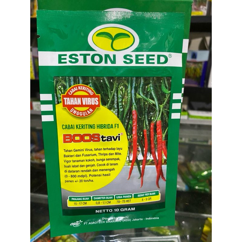 Boostavi benih cabe keriting hibrida F1