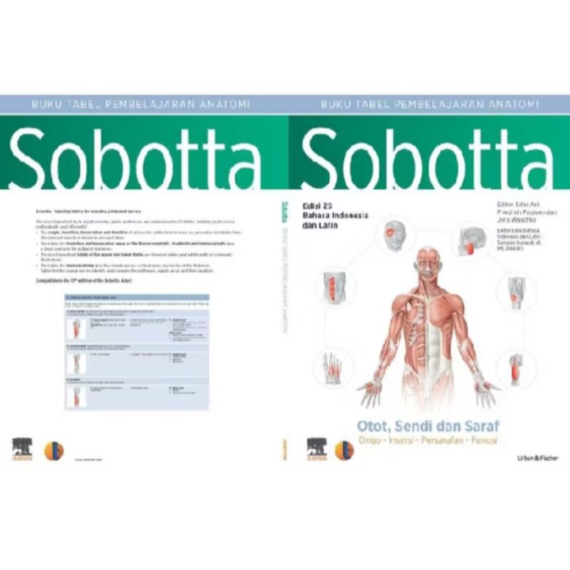 Buku Atlas Anatomi Manusia Sobotta