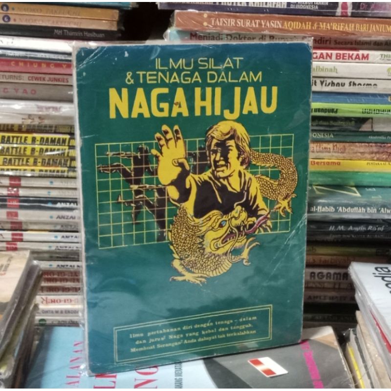 BISA COD | Buku Ilmu Silat & Tenaga Dalam Naga Hijau | Original Preloved