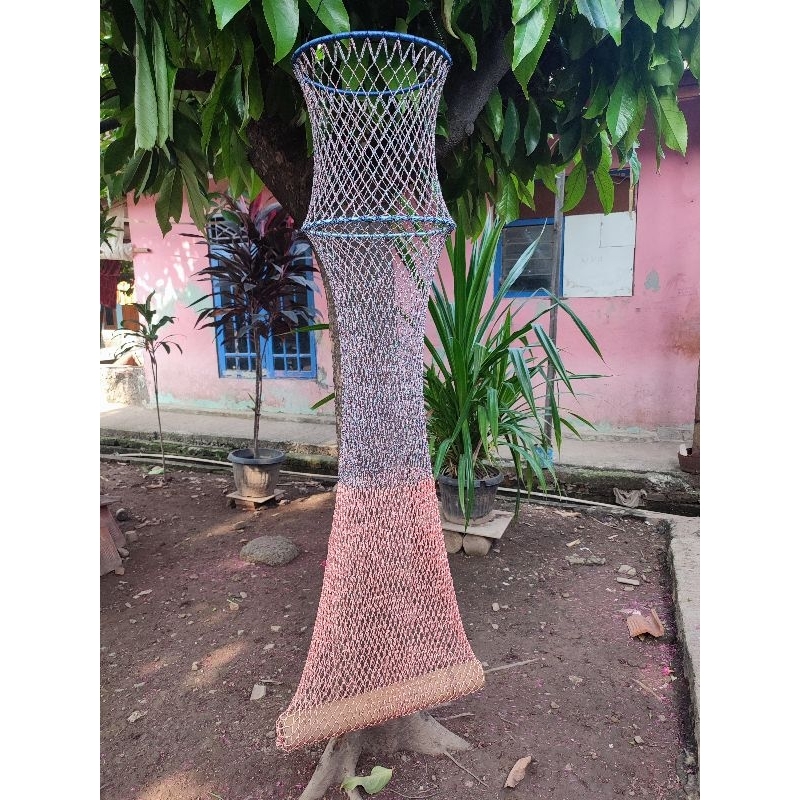 korang ikan