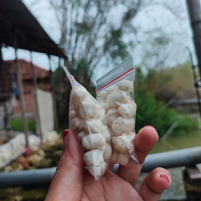 

Isian Toping Seblak, Baso Aci