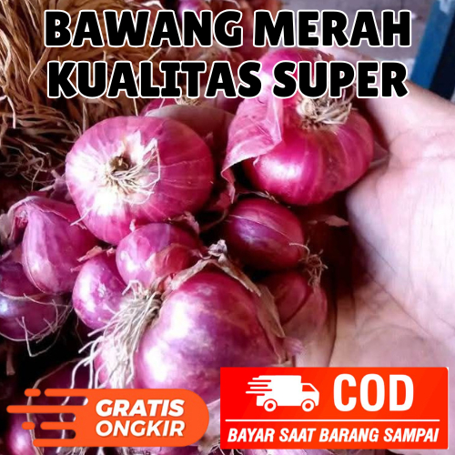 

BAWANG MERAH ASLI BREBES PILIHAN