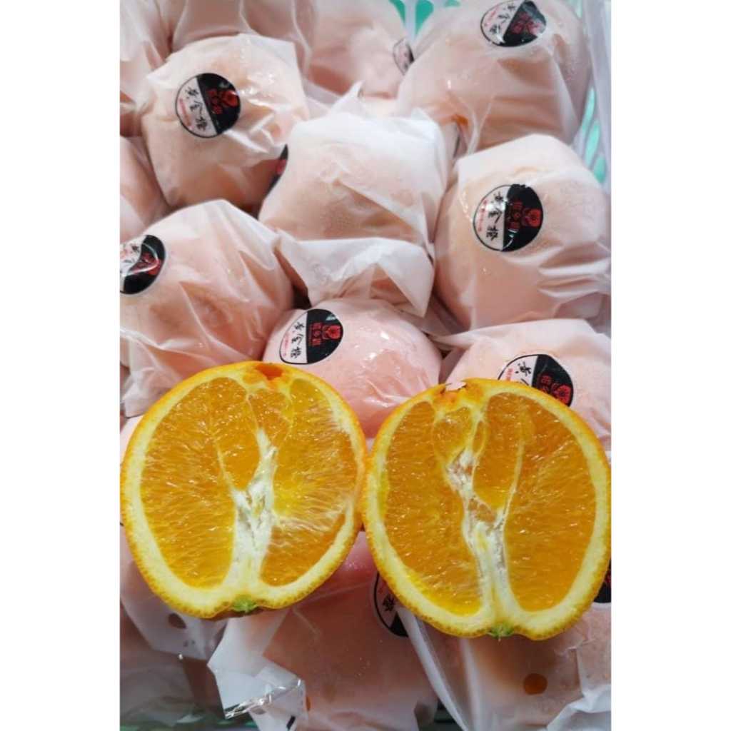 

buah jeruk sunkist navel premium