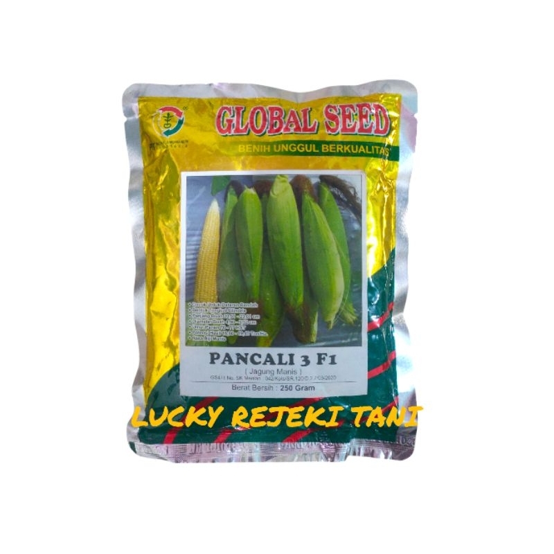 Benih jagung manis pancali 3 f1 250 gram