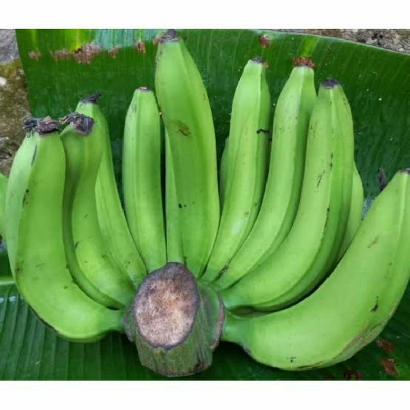 

pisang nangka mentah bahan kripik 1 kg