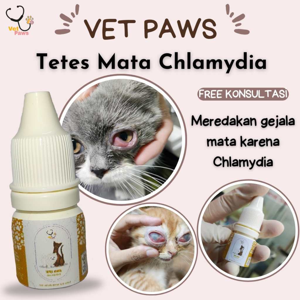 Vet Paws Tetes Mata Chlamydia Meredakan Sakit Mata Karena Chlamydia Pada Kucing