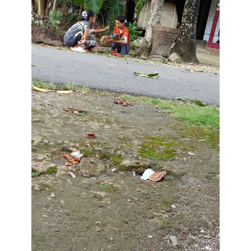 Pecahan genteng media tanam