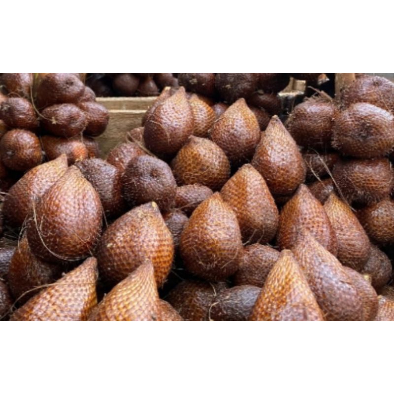 

Buah Salak Pondoh Segar Grade A/ B/ C dan Mix - GGS