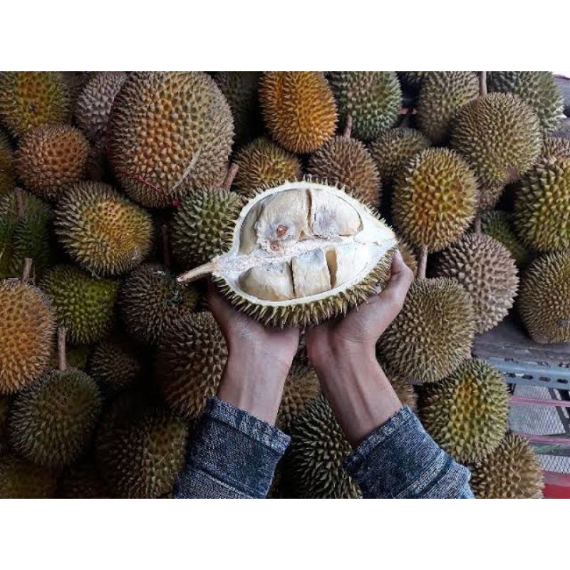

Durian kupas pontianak 1kg/ duren kupas pontianak 1kg