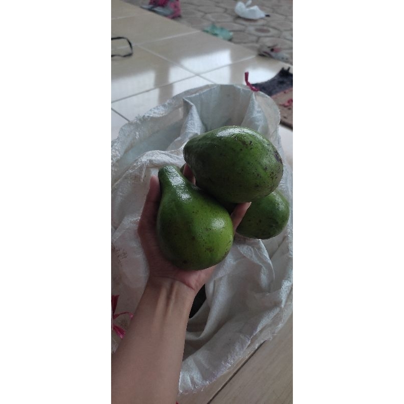 

alpukat mentega Mba Jum isi45