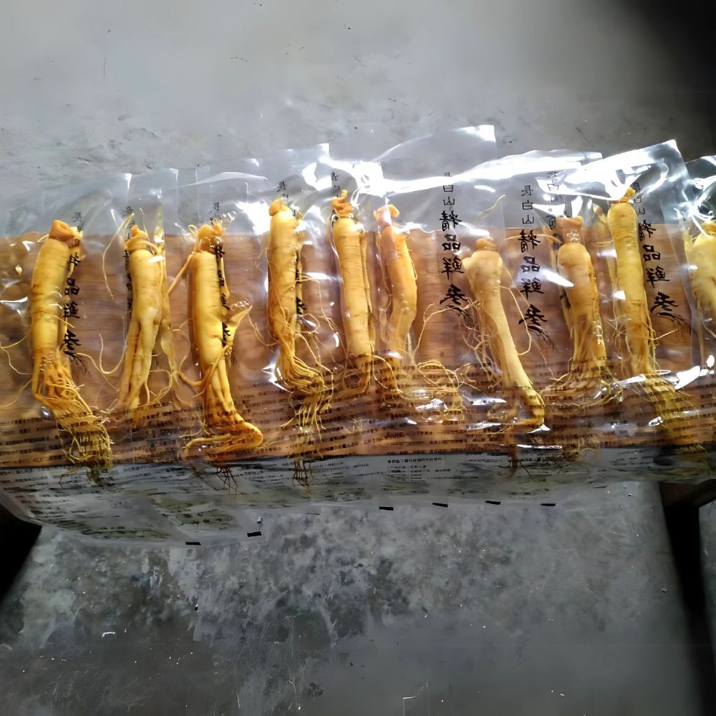 

Ginseng Fresh Hidup Perbatang Kemasan 20gram Asli