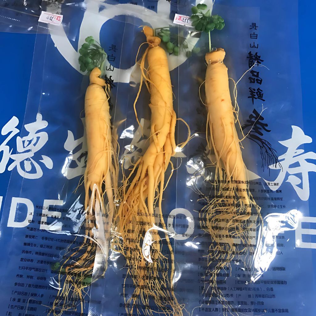 

Ginseng Asli Pegunungan Changbai (100gr) / Ginseng Herbal / Ginseng Segar / Ginseng Kemasan Vakum