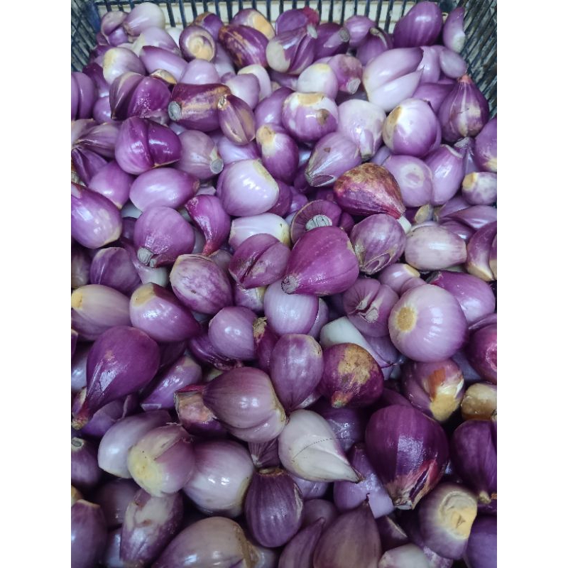 

bawang merah kupas segar 100gr