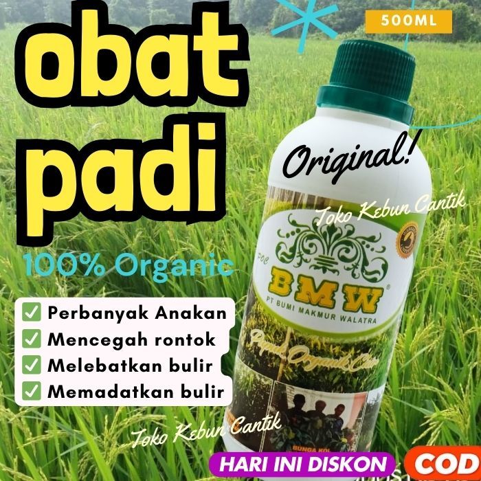 Obat Semprot Padi BMW - Menambah Hasil Padi dengan Cepat, Solusi Pupuk dan Obat Cair untuk Padi di S