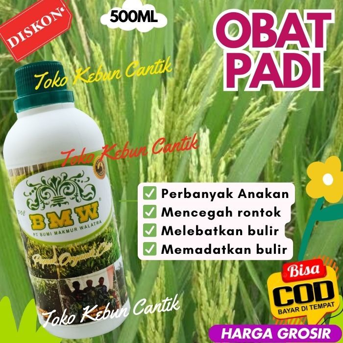 Pupuk Padi Cair BMW - Pupuk Organik untuk Padi Sawah, Meningkatkan Pertumbuhan dan Anakan Padi, Memb