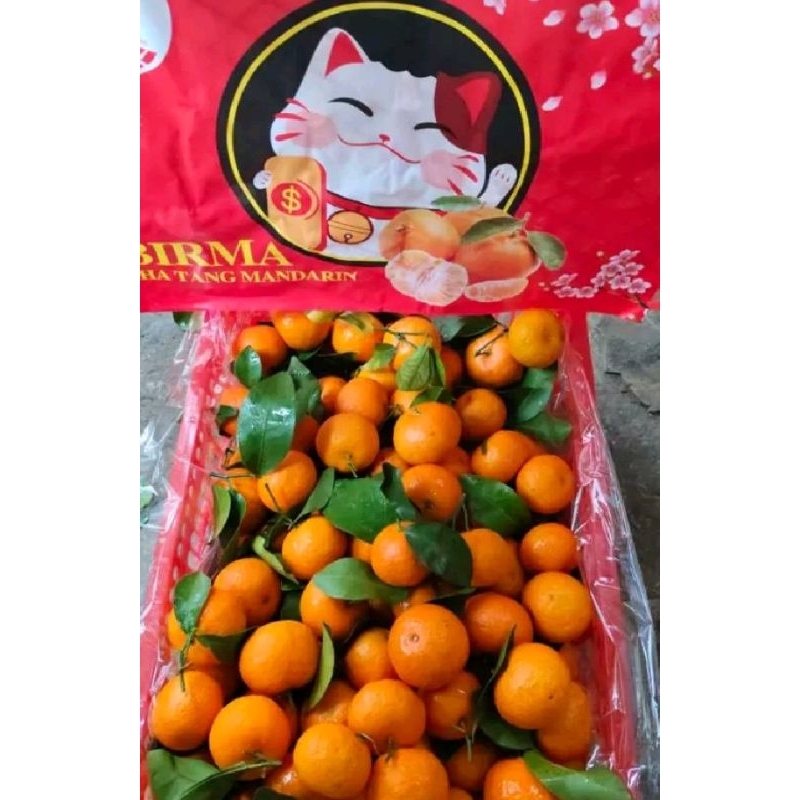 

JERUK SHANTANG PER KERANJANG