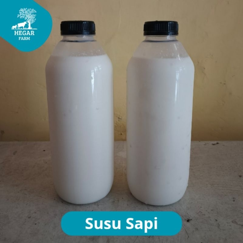 

susu sapi murni