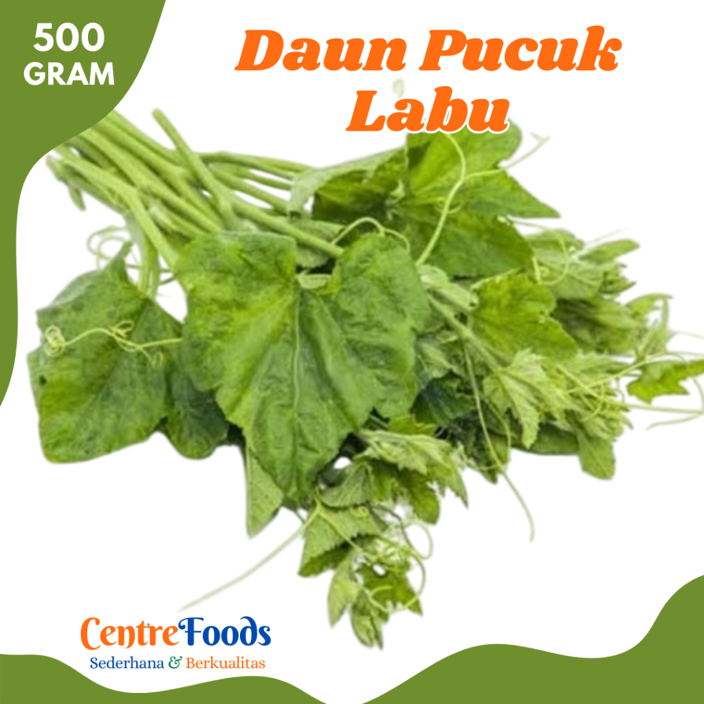 

PUCUK Labu - Sayur Daun Pucuk Labu Fresh | 500gr [ Harga Per 0,5 Kg ]