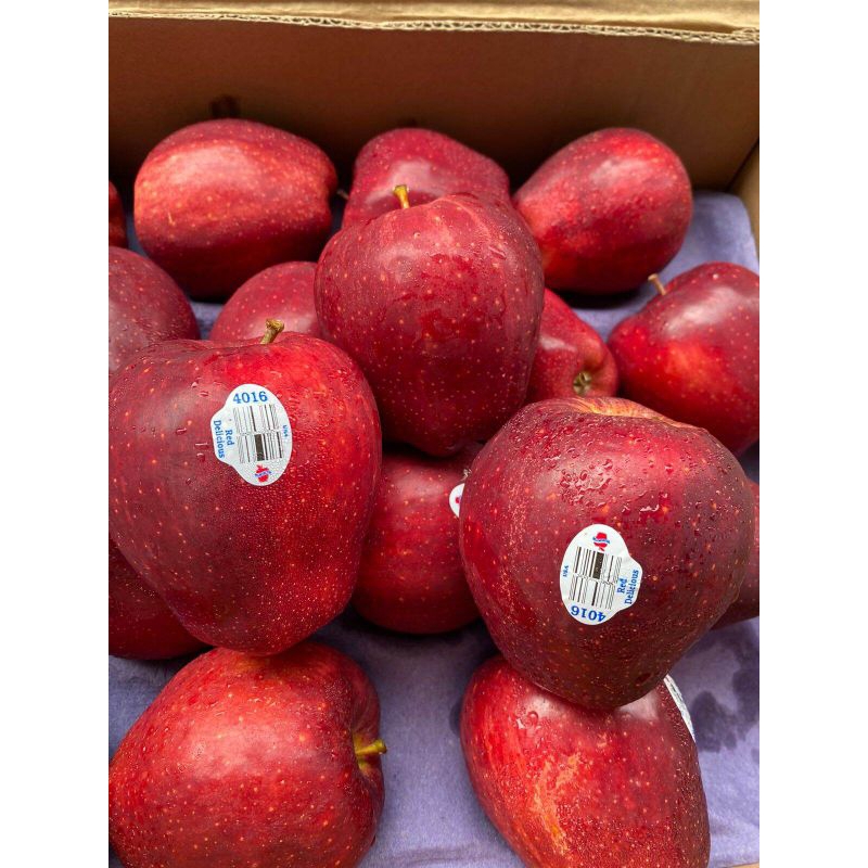 

Buah Apel Merah Washington 1kg