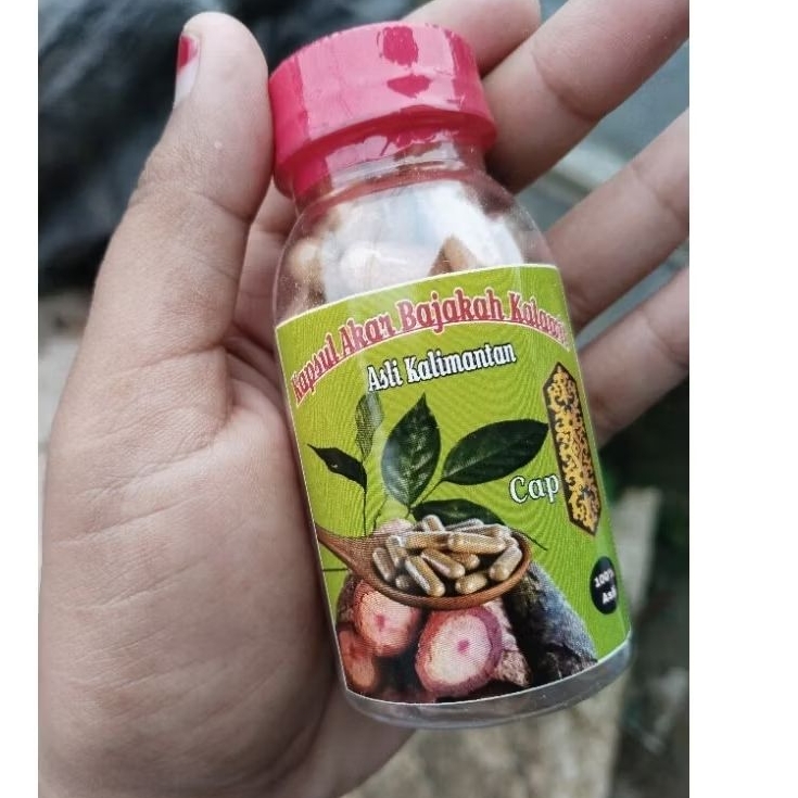 

Kapsul Akar Bajakah Kalawit Asli Kalimantan selatan
