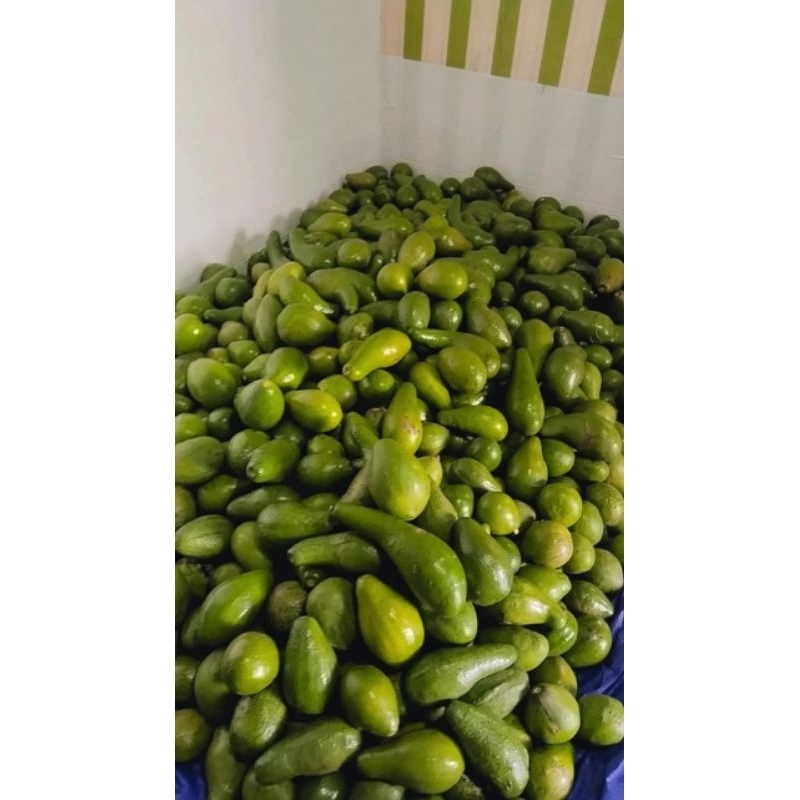 

Alpukat Mentega 1Kg Alpukat mentega Pulen
