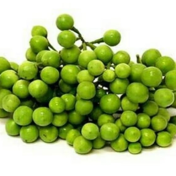 

Pokak Takokak, Terung pipit, Rimbang, Cepoka. 250 g