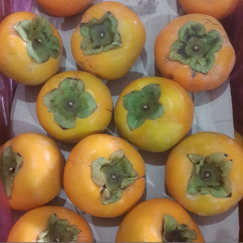 

Pear Simmon | Kesemek Import