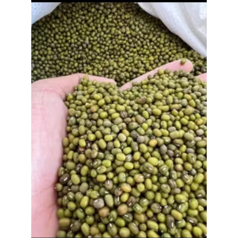 

Kacang Ijo Super premium 500 Gram