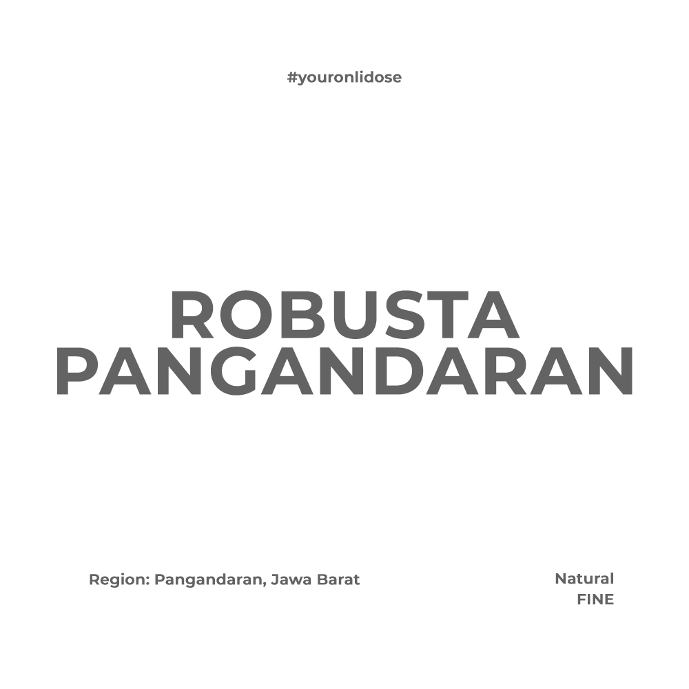 

ROBUSTA PANGANDARAN - NATURAL PROCESS - GREEN BEAN GRADE 1 FINE