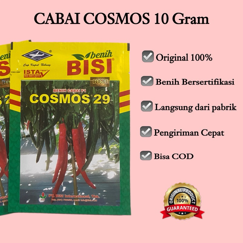 BENIH CABE BESAR F1 COSMOS 29 BISI KEMASAN 10Gram 100% Original