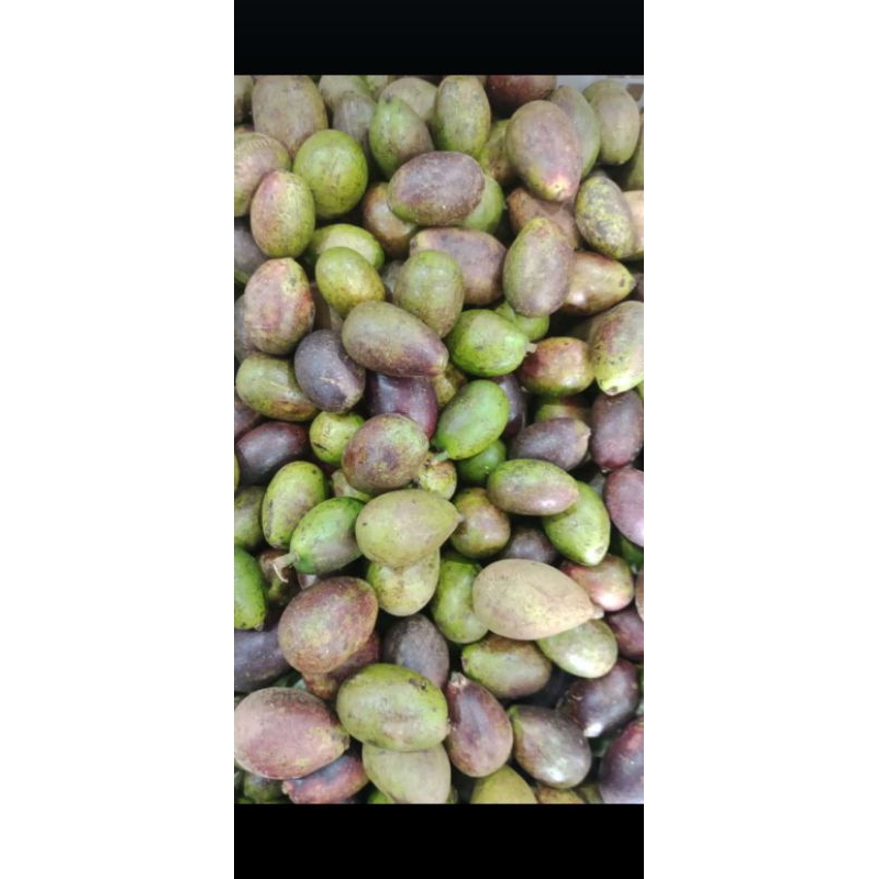 

buah matoa 500gr