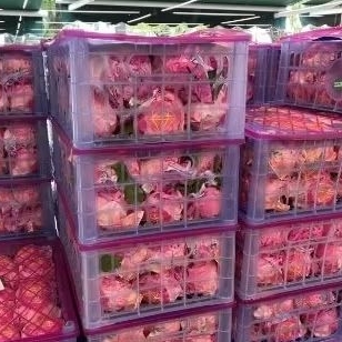 

Buah jeruk Pink Diamond super manis jumbo size premium XXXL keranjang