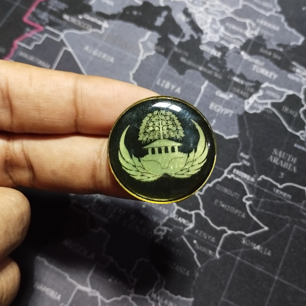 Pin Korpri bulat resin / Pin ASN bulat hitam [ foto asli ]