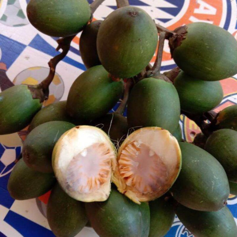 

Jual buah pinang segar 1/2kg