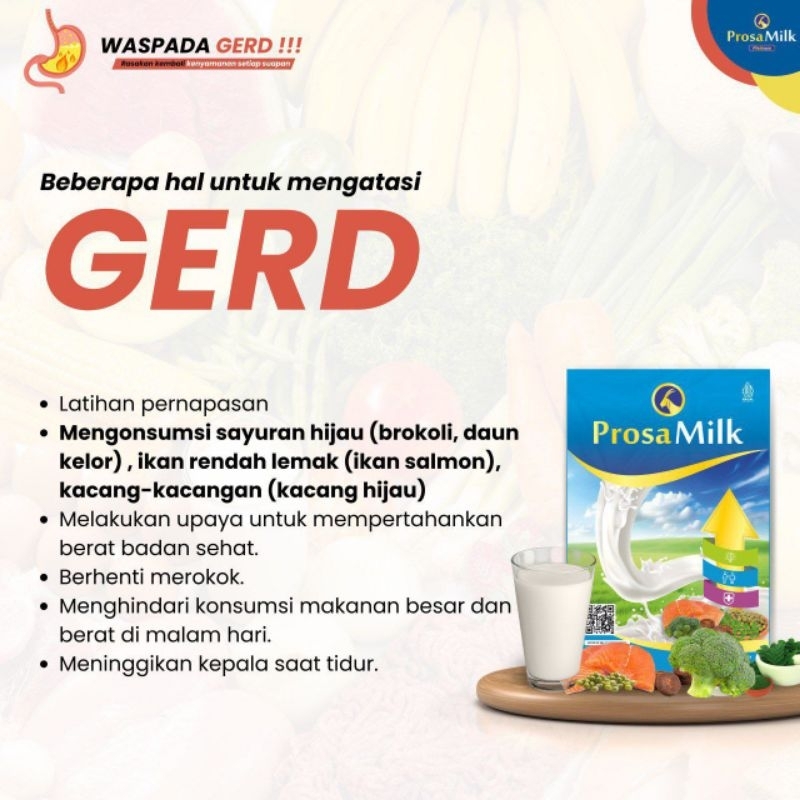 

Susu Kambing Etawa untuk atasi GERD