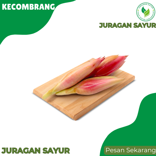 

Kecombrang 250gr - Kecombrang 1kg - Juragan Sayur