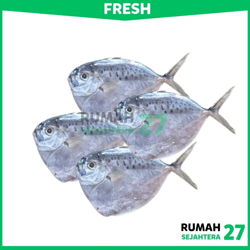 

KIRIM INSTANT DEPOK Ikan Semar Fresh Frozen Beku 1 Kg
