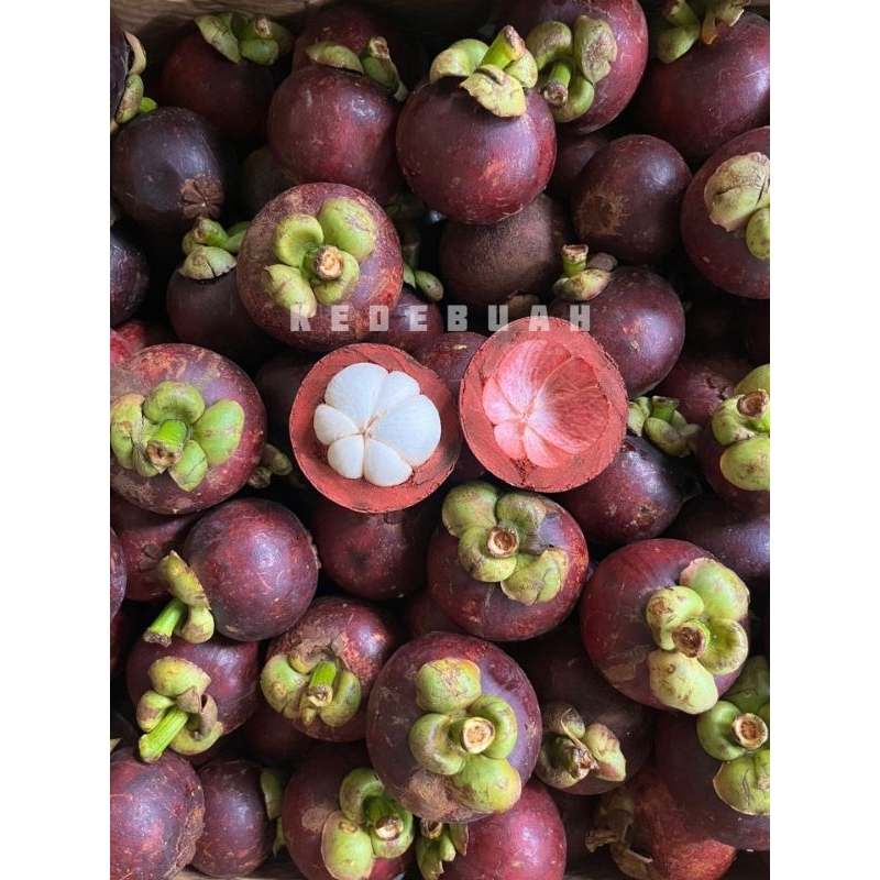 Manggis Bali Export Quality (Buy 1 Kg free 500 gr)
