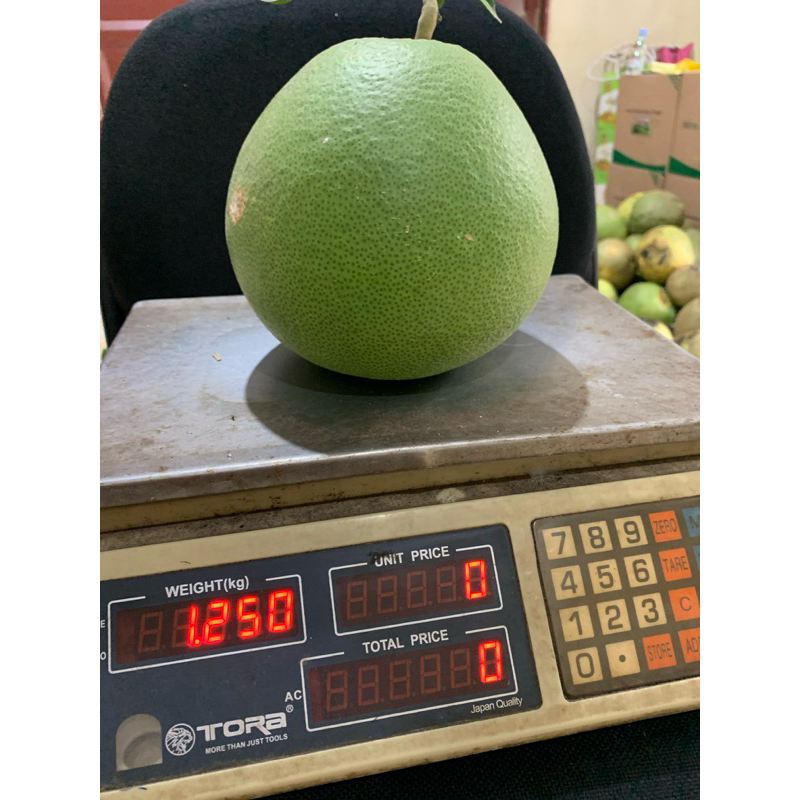 

pamelo bageng,manis.1,1kg