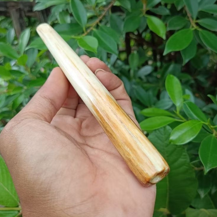 Once pipa tulang moncong marlin 15cm